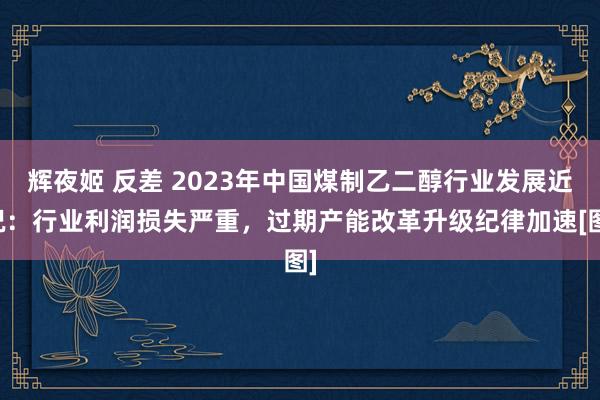 辉夜姬 反差 2023年中国煤制乙二醇行业发展近况：行业利润损失严重，过期产能改革升级纪律加速[图]