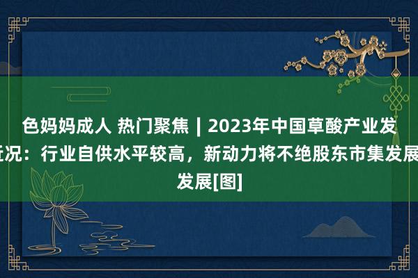 色妈妈成人 热门聚焦∣2023年中国草酸产业发展近况：行业自供水平较高，新动力将不绝股东市集发展[图]