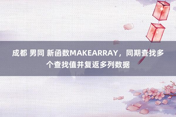 成都 男同 新函数MAKEARRAY，同期查找多个查找值并复返多列数据