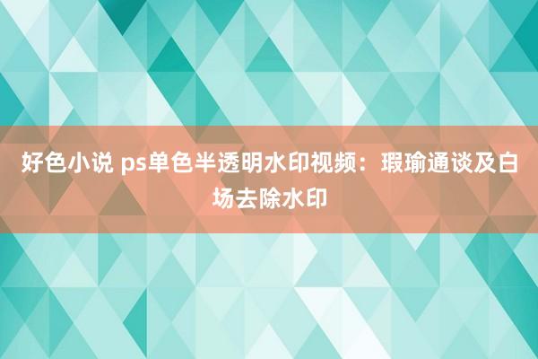 好色小说 ps单色半透明水印视频：瑕瑜通谈及白场去除水印