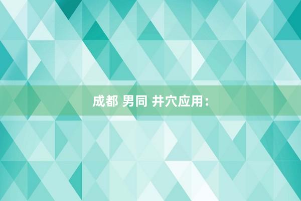成都 男同 井穴应用：