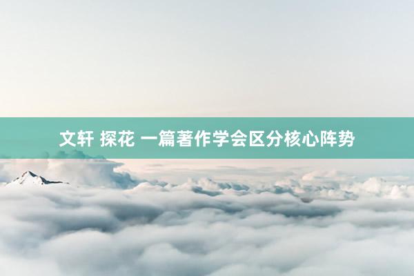 文轩 探花 一篇著作学会区分核心阵势