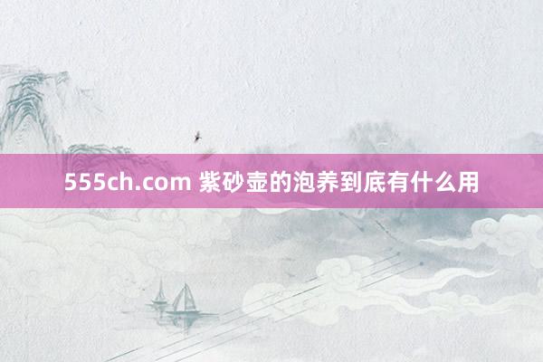 555ch.com 紫砂壶的泡养到底有什么用